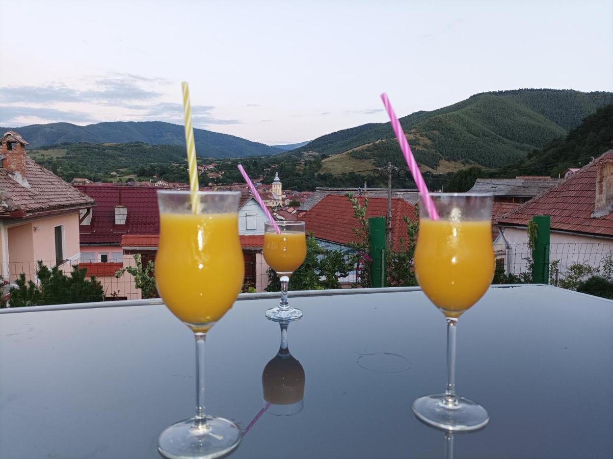 Apartament Panoramic La Casa In Comuna Răşinari Exteriör bild