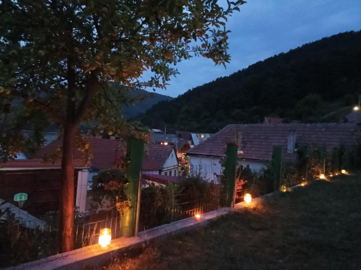 Apartament Panoramic La Casa In Comuna Răşinari Exteriör bild