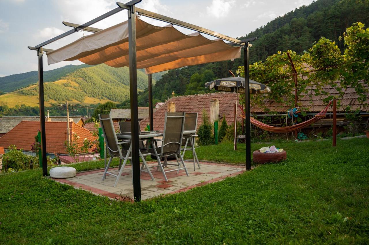 Apartament Panoramic La Casa In Comuna Răşinari Exteriör bild