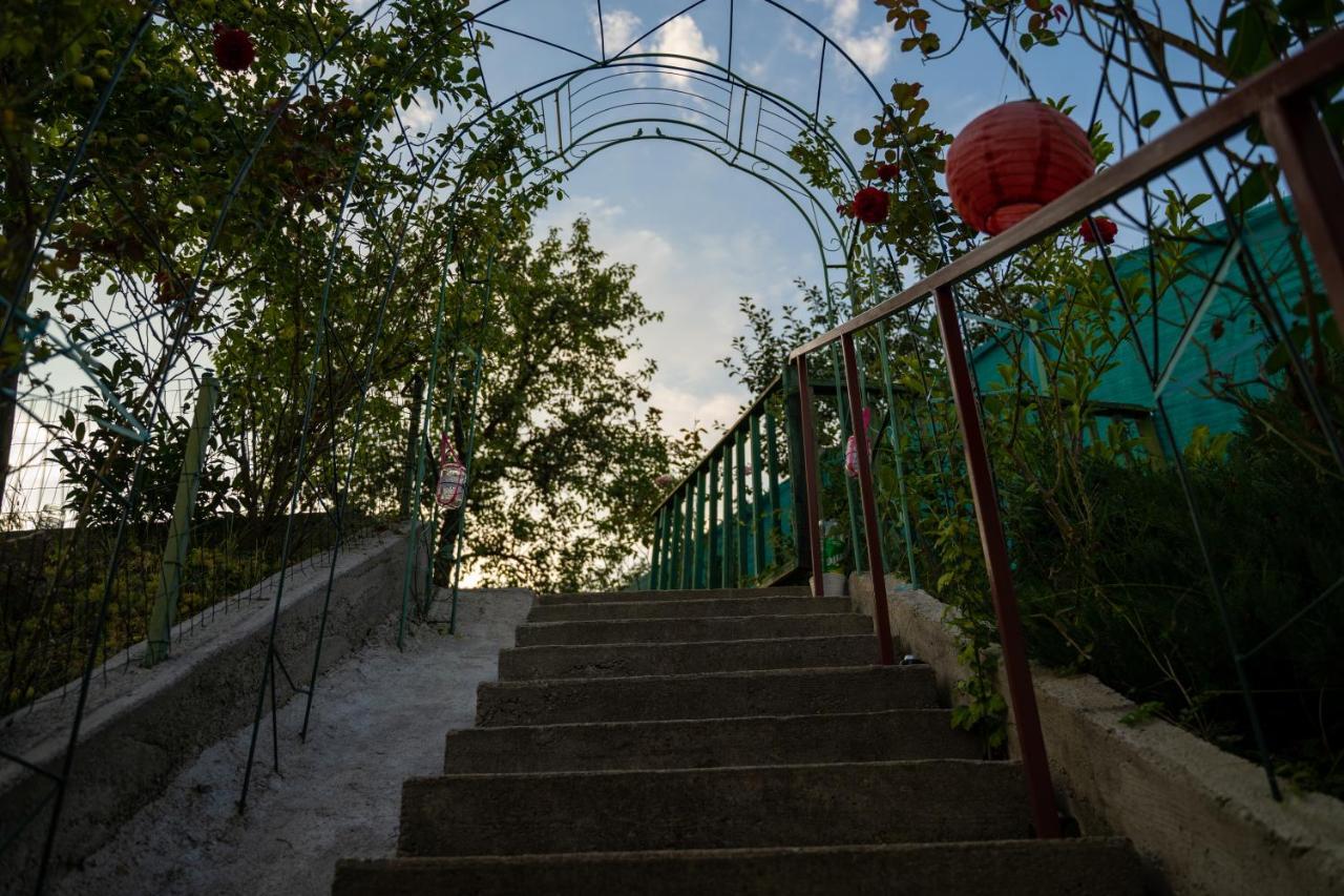 Apartament Panoramic La Casa In Comuna Răşinari Exteriör bild