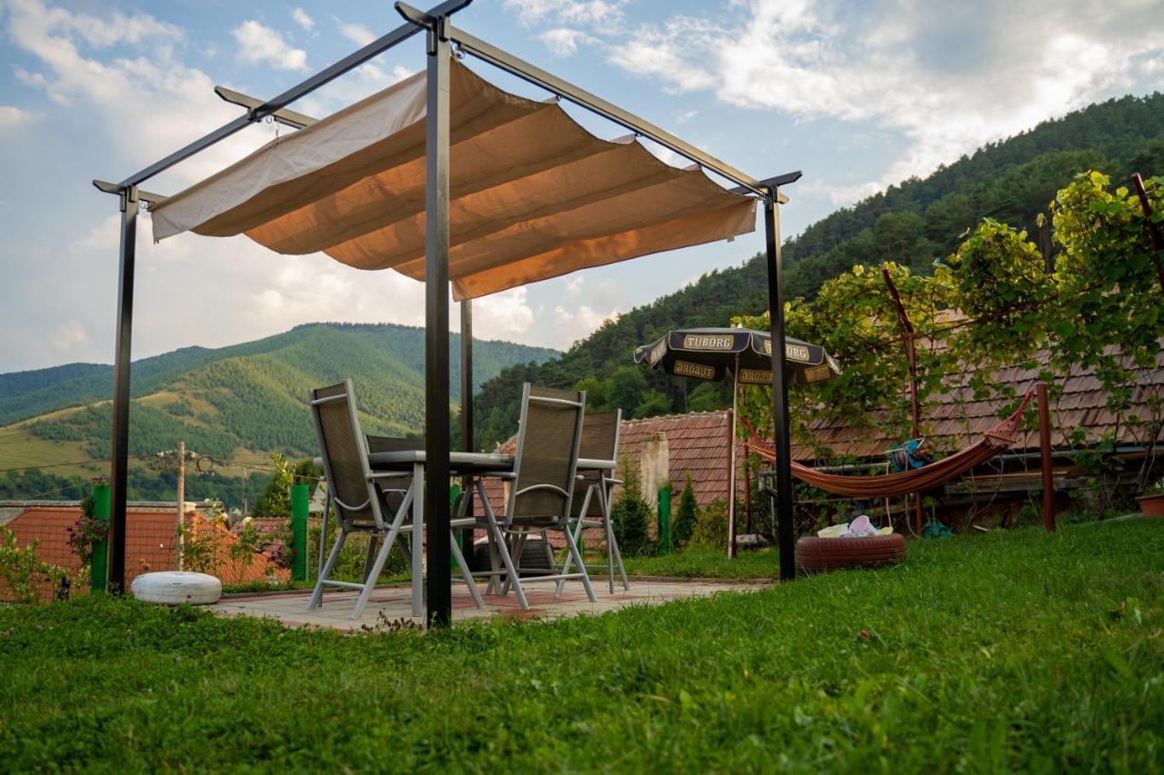 Apartament Panoramic La Casa In Comuna Răşinari Exteriör bild