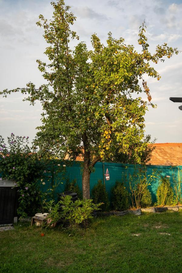 Apartament Panoramic La Casa In Comuna Răşinari Exteriör bild