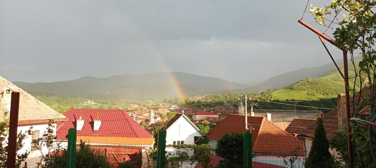 Apartament Panoramic La Casa In Comuna Răşinari Exteriör bild